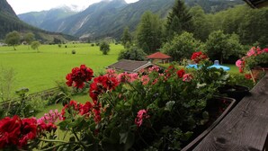 A view of a mountainous landscape with a green field, a wooden structure, and red flowers in the foreground. - Cosy Apartment in Neukirchen near Krimmler Waterfalls (Neukirchen am Grossvenediger)