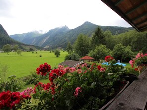 Apartment | View from property - Cosy Apartment in Neukirchen near Krimmler Waterfalls (Neukirchen am Grossvenediger)
