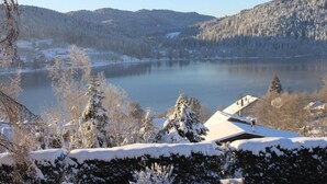 A lakeside view with snow-covered trees and a house with a sloped roof. - Air-conditioned apartment with stunning views of the lake and mountains. (Gérardmer, Grand Est)