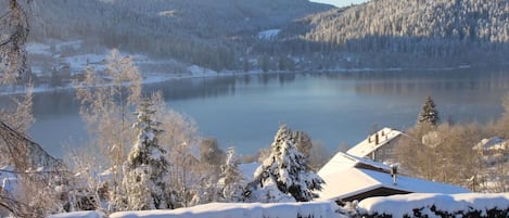 Vista a un lago con árboles cubiertos de nieve y una casa con techo inclinado.