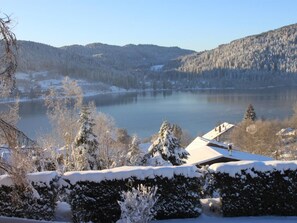 A lakeside view with snow-covered trees and a house with a sloped roof. - New apartment, superb lake and mountain views. (Gérardmer, Grand Est)