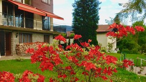 A two-story house with a balcony, a large tree, and a garden with red flowers. - Air-conditioned apartment with stunning views of the lake and mountains. (Gérardmer, Grand Est)