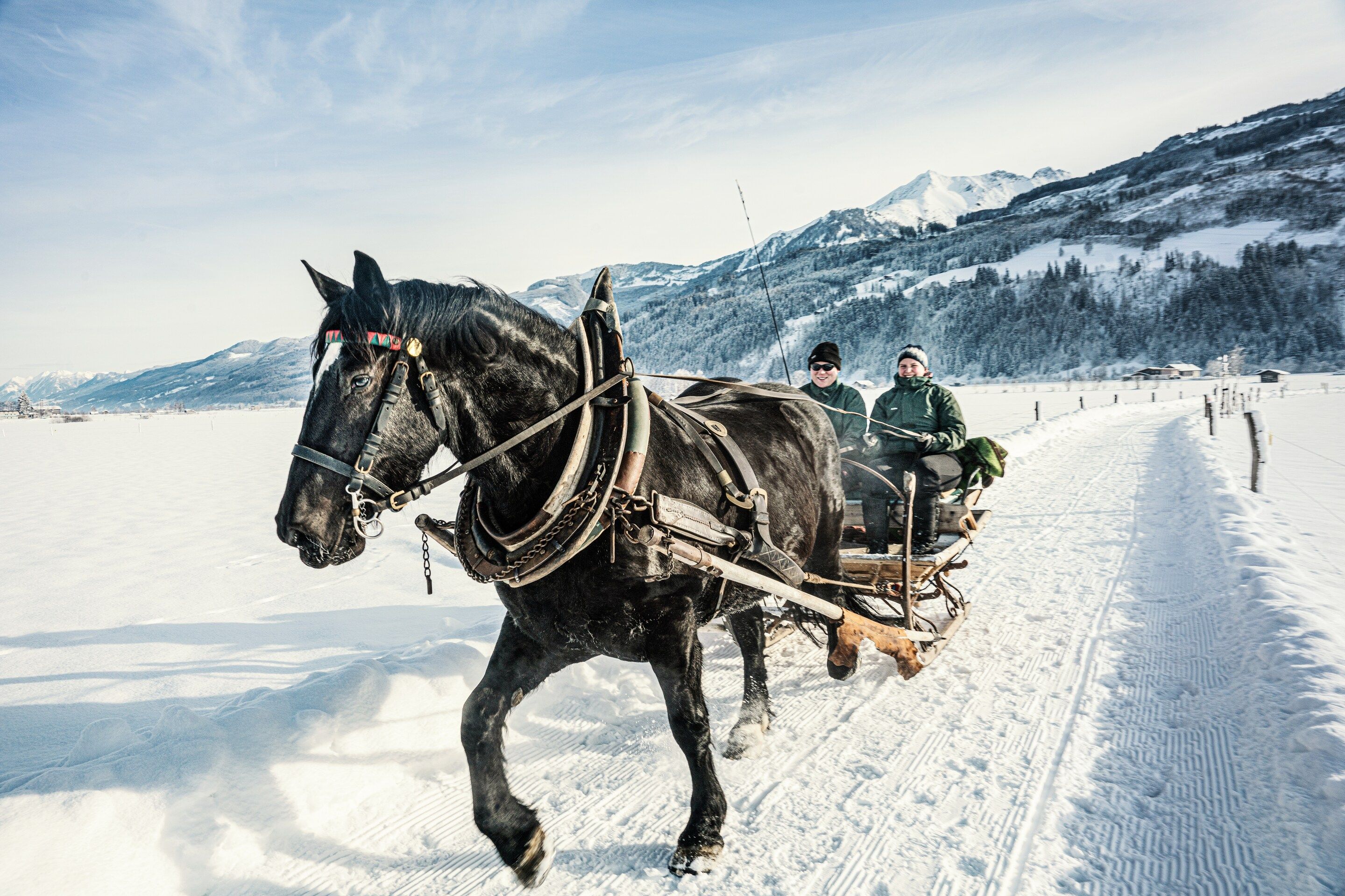 A horse-drawn carriage on a snowy path with mountains in the background.