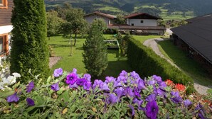 Un paysage montagneux avec des maisons et un jardin où poussent des fleurs violettes.