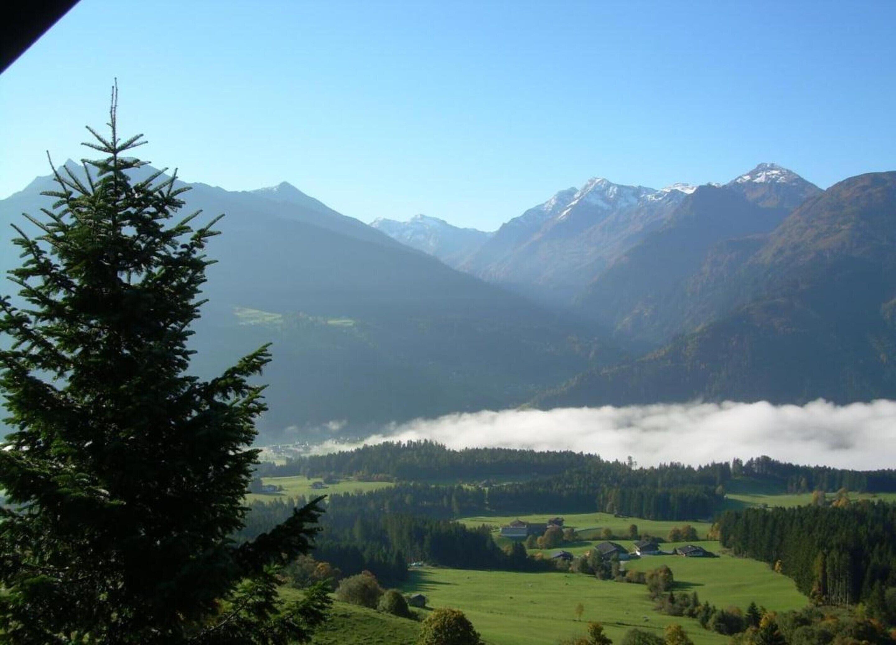 Un paysage montagneux avec une vallée, des maisons et un arbre au premier plan.