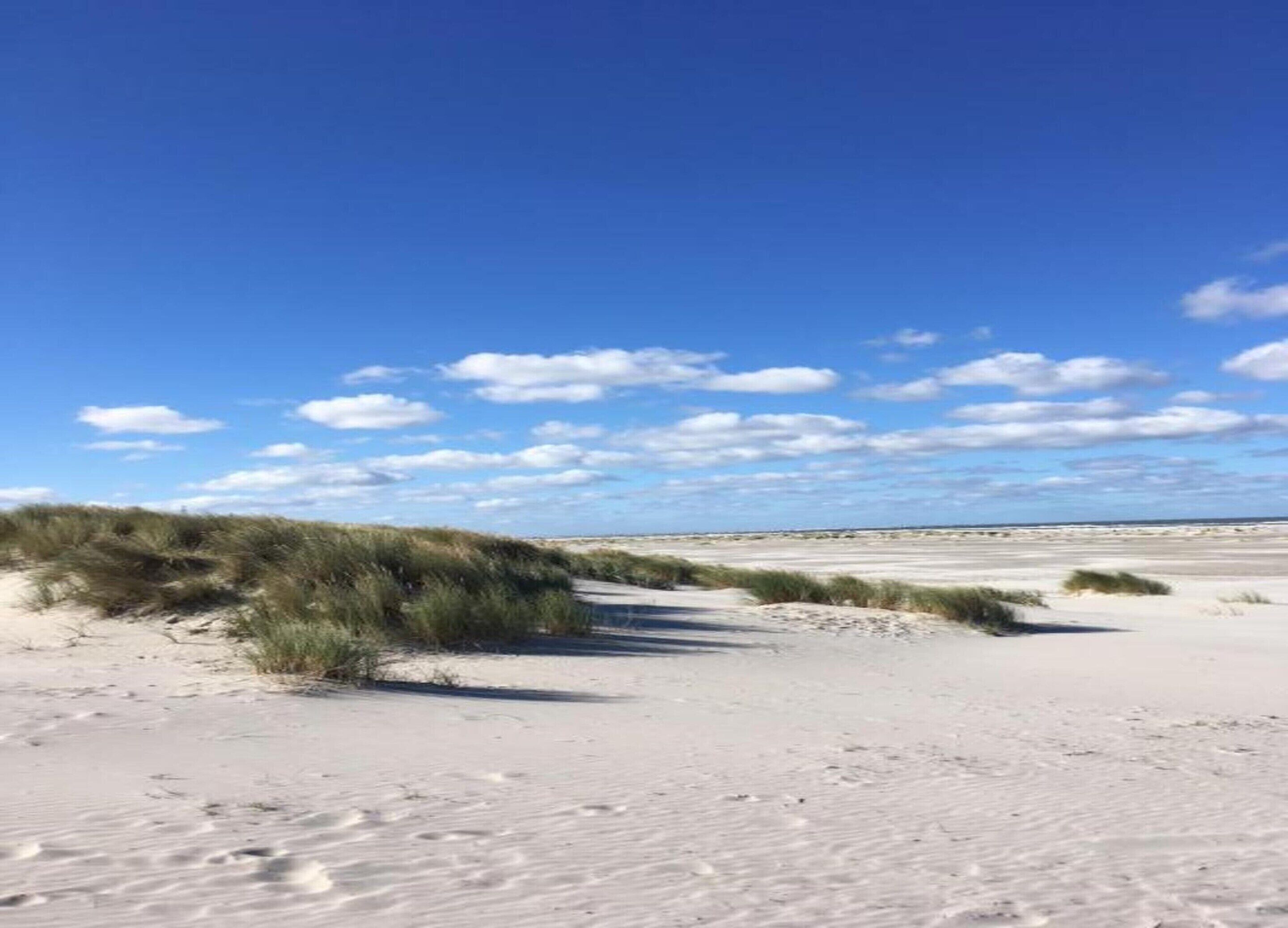 Stuga | Utsikt från boendet