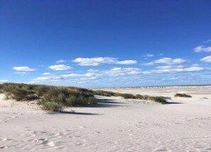 平房 | 住宿景觀