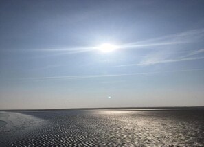 Cottage | Pemandangan dari properti