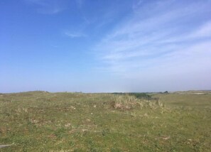 Cottage | Uitzicht vanuit accommodatie