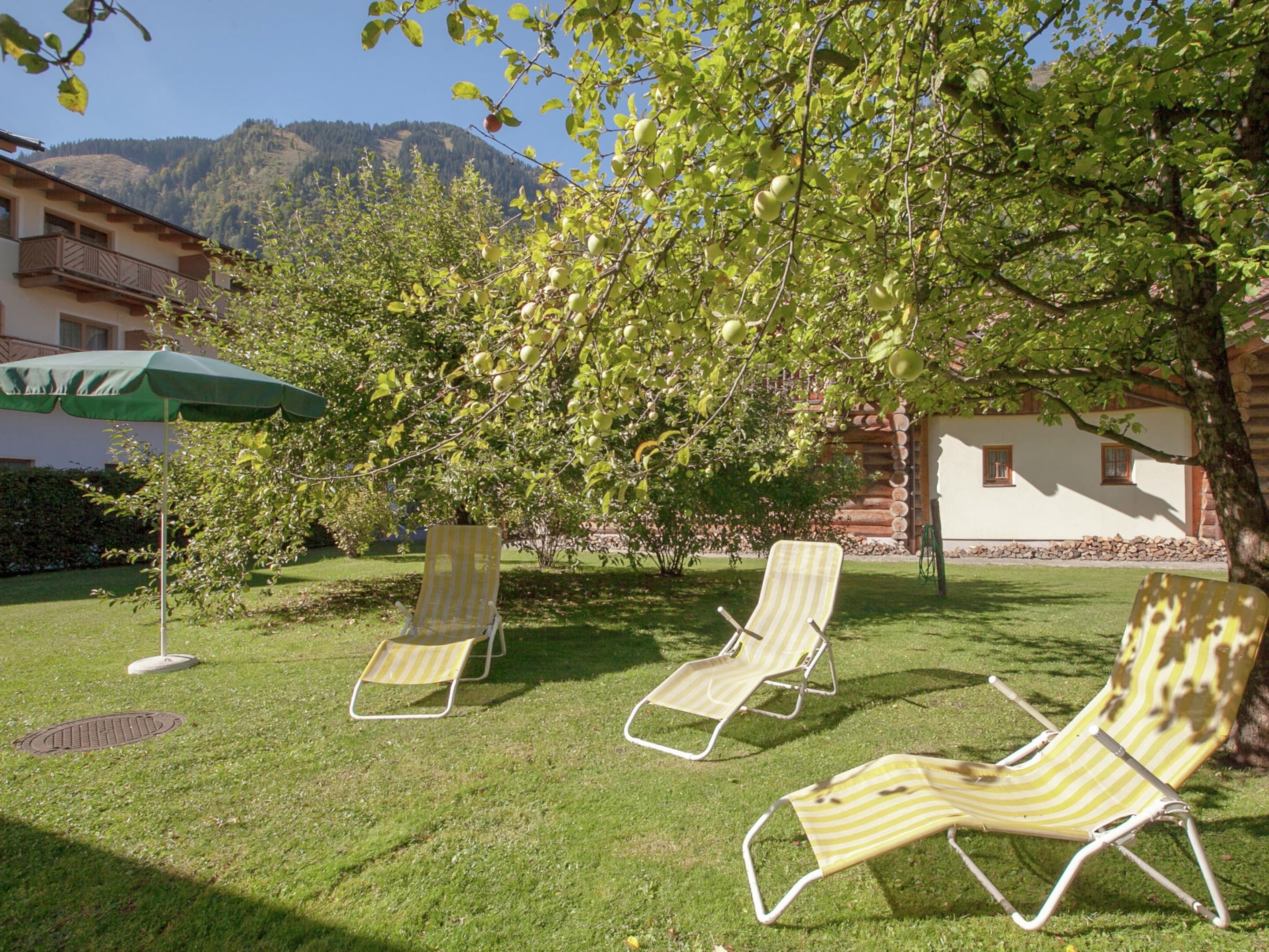 A garden with three striped lounge chairs under a green umbrella, a tree with green leaves, and a mountain in the background.