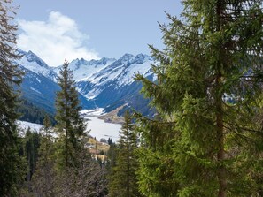Apartment | View from property - Apartment in Wald Near Zillertal Ski Area (Wald im Pinzgau)
