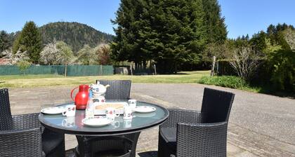Spacious Holiday Home With Sauna in Celles-sur-plaine
