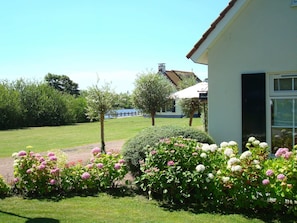 A house with a lawn, a garden with pink and white flowers, and a view of a body of water. - Holiday Home in Steendam by Schild Lake (Steendam)