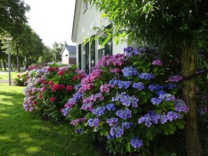 House | Exterior - Holiday Home in Steendam by Schild Lake (Steendam)
