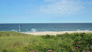 A beach with a flag, ocean, and grassy area with pink flowers.