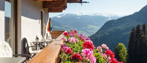 Apartment | Blick von der Unterkunft