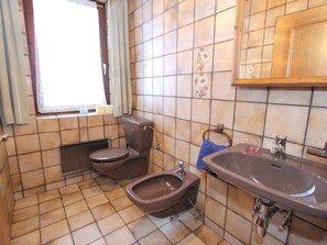 A bathroom with a toilet, bidet, and sink. - Chalet With Sauna in Piesendorf Near ski Area (Piesendorf)
