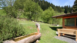A wooden bench and a rustic wooden trough in a lush green outdoor setting with a wooden cabin in the background.