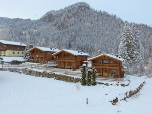 Exterior - Wooden Chalet in Krimml Salzburg With Garden Grill (Krimml)