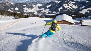 Unclassified image, 3 of 38, button - Pleasant Penthouse in Mayrhofen With Sauna (Mayrhofen)