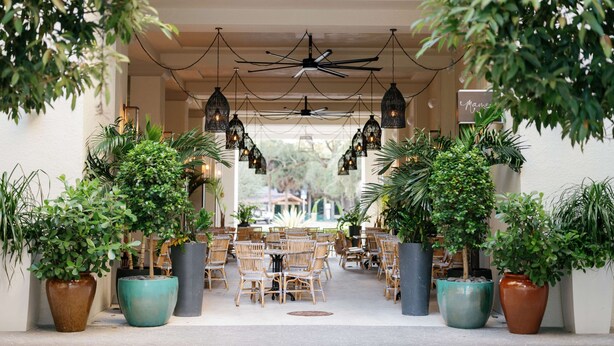 Un espace de restauration en plein air, avec des chaises et des tables en osier, entouré de grands pots de plantes et agrémenté de lanternes suspendues.