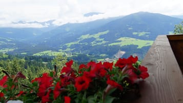 Nhà gỗ | Ngoại thất