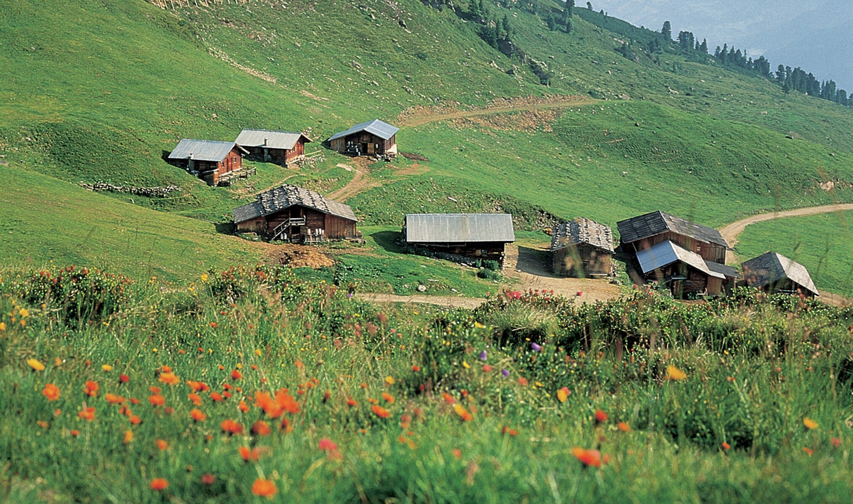 Chalet | Blick von der Unterkunft