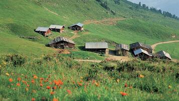 Chalet | Blick von der Unterkunft