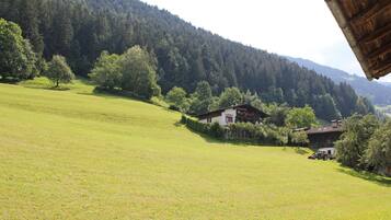 Chalet | View from property