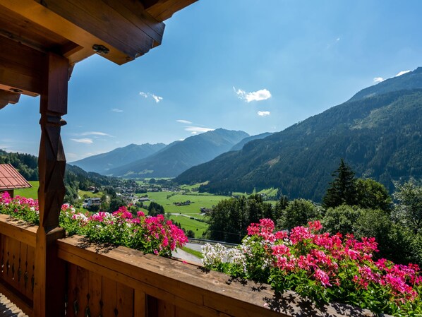 Departamento | Vista desde la propiedad