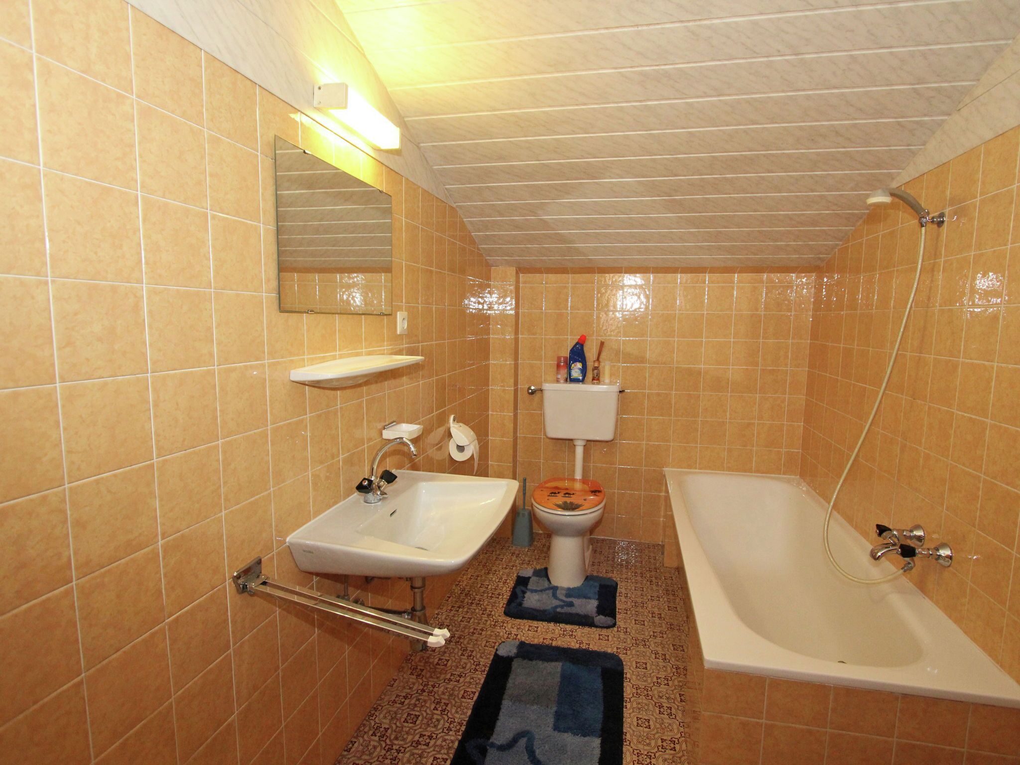 Ferienhaus | Badezimmer | Duschwanne, Handtücher