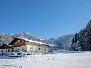 Exterior - Spacious Chalet near Ski Area in Itter (Itter)