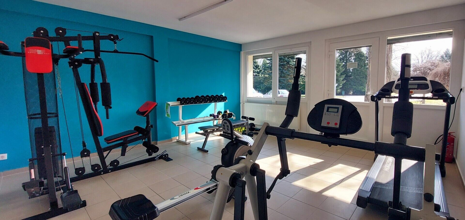 A gym with various exercise equipment, a bench, and dumbbells.