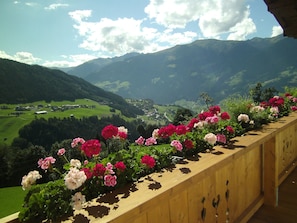 Apartment | Balkon
