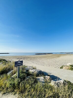 Playa en los alrededores