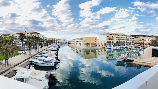A marina with boats docked along a waterfront promenade lined with palm trees and buildings. - Sea view apartment in SETE (Sète)