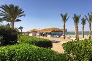 على الشاطئ