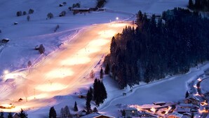 Unclassified image, 2 of 25, button - Sunlit Apartment near Ski Area in Leogang (Leogang)