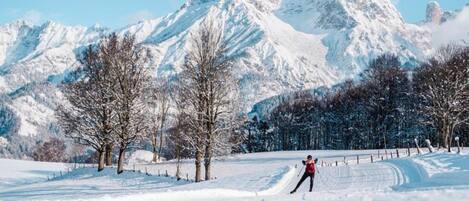 A snowy landscape with a person cross-country skiing, trees, and snow-covered mountains in the background.