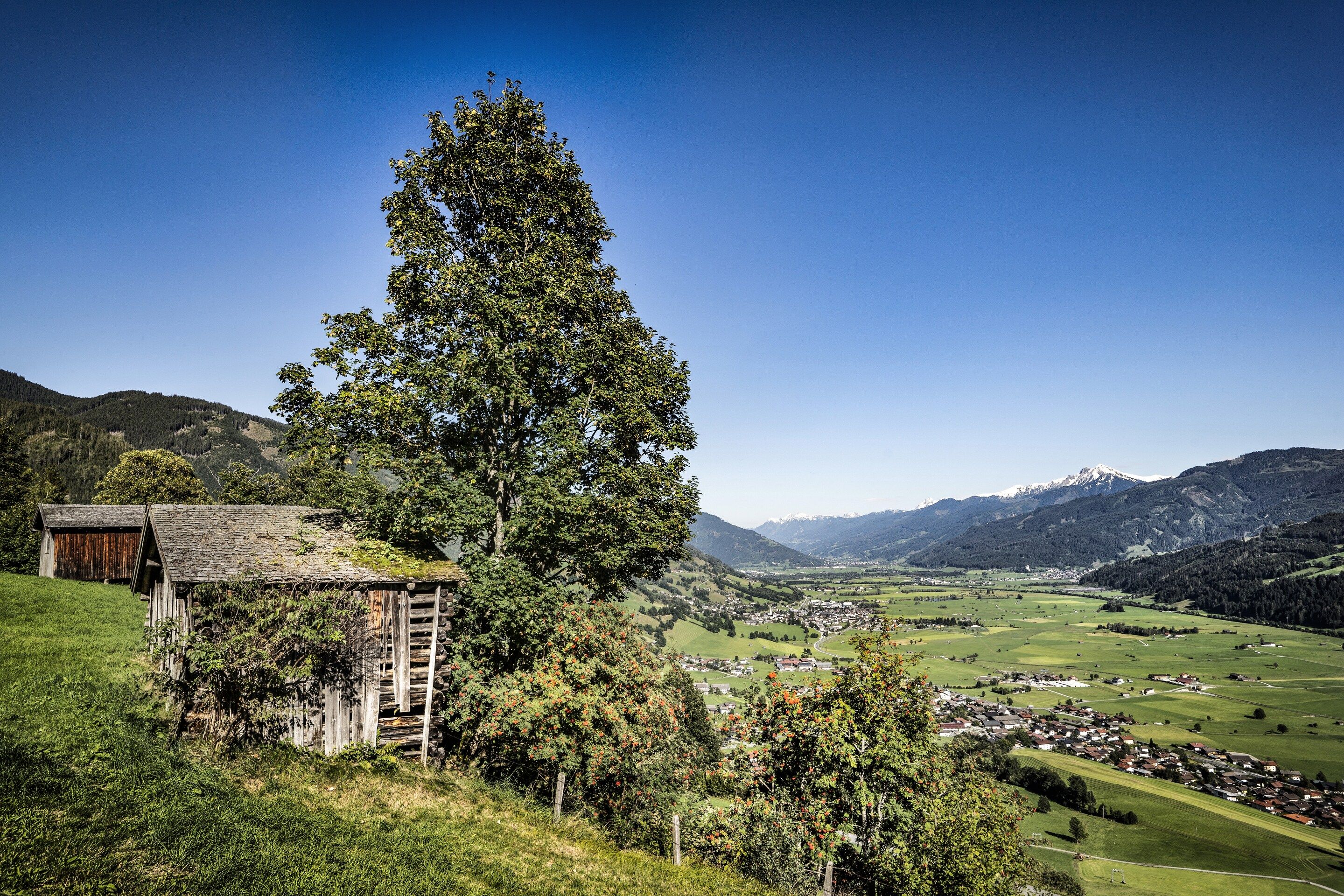 Un paysage rural avec un arbre imposant, une petite construction en bois et une vallée où l’on aperçoit une ville au loin.