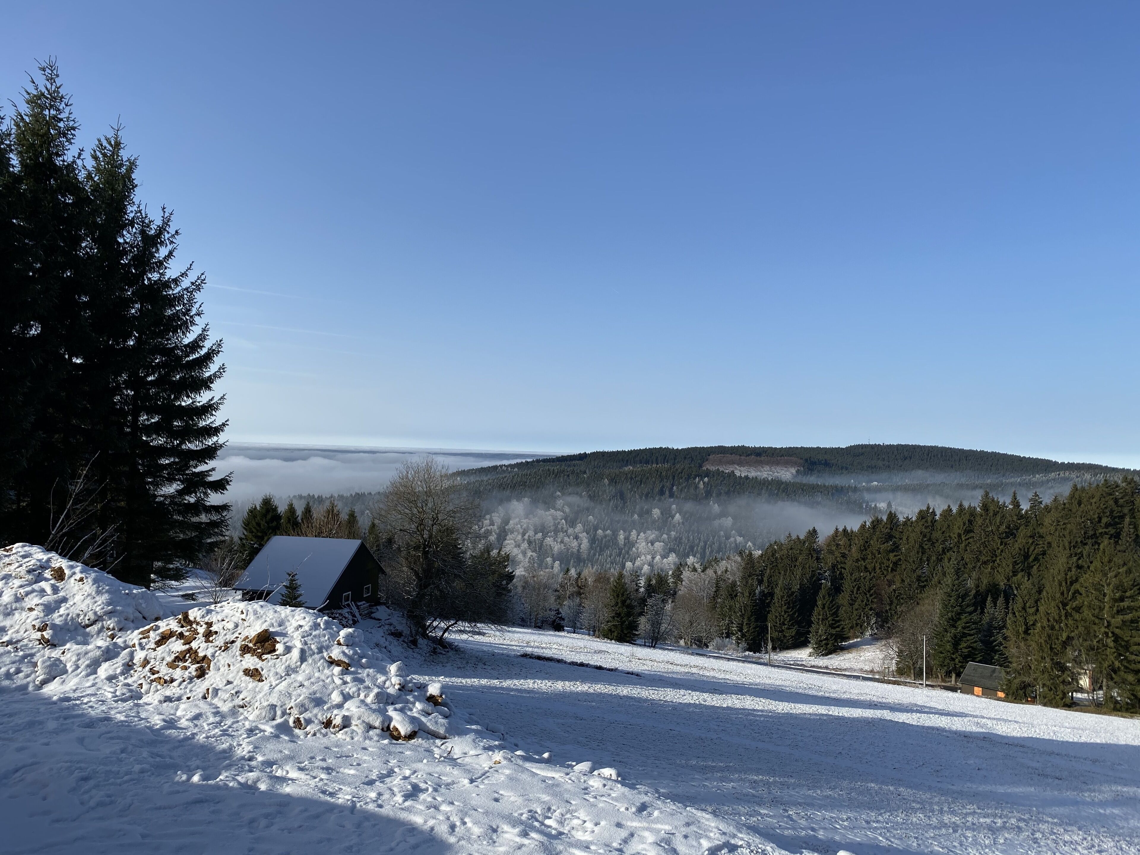 Un paysage enneigé avec une cabane et une forêt dense.