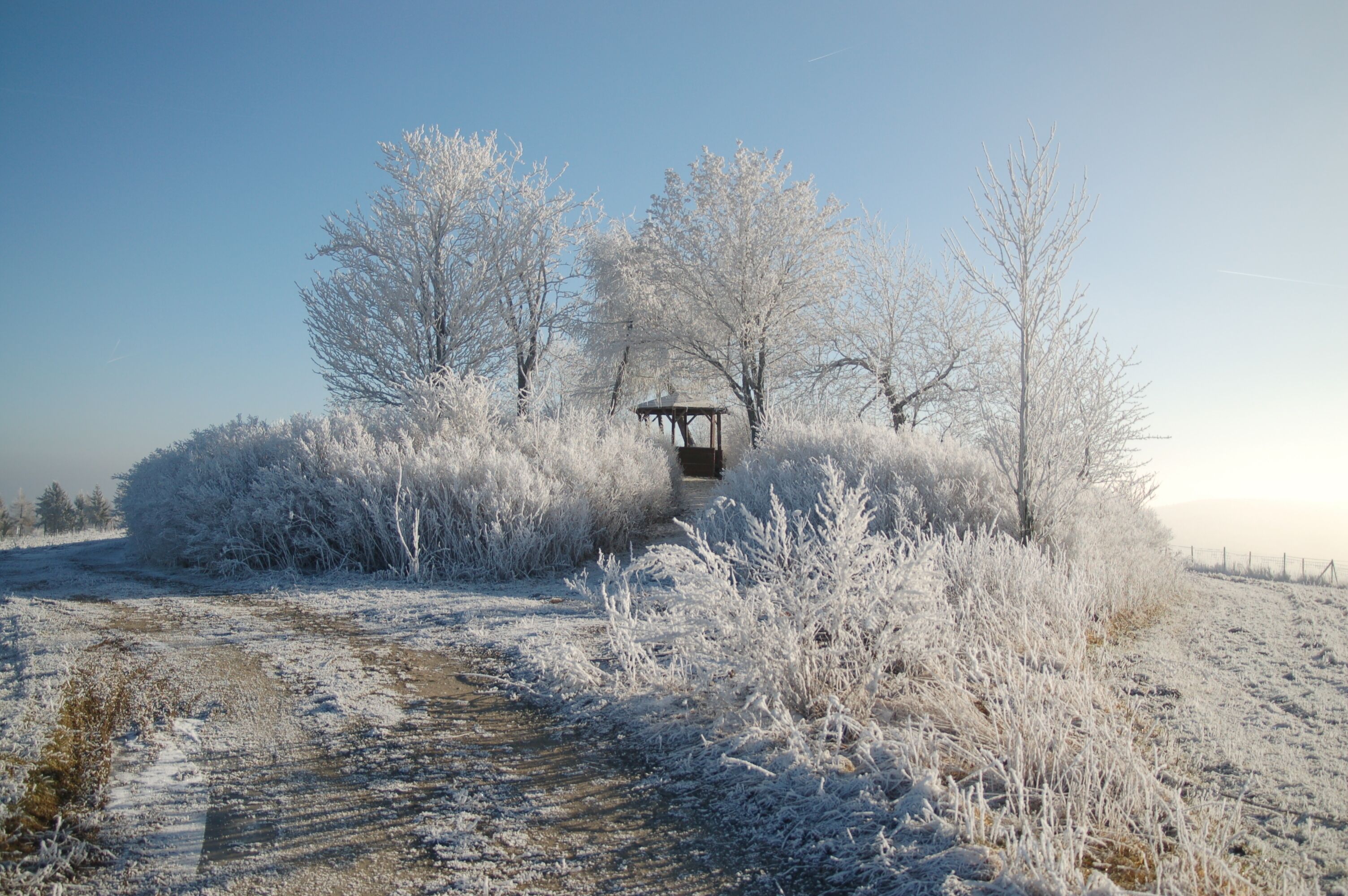 Schneebedeckte Landschaft mit einem hölzernen Pavillon und spärlicher Vegetation.