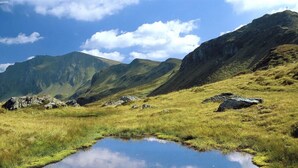 Ett vackert naturlandskap med en liten damm omgiven av gräsbevuxna fält och berg i bakgrunden.