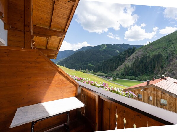 Apartment | Balkon