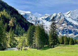 View from property