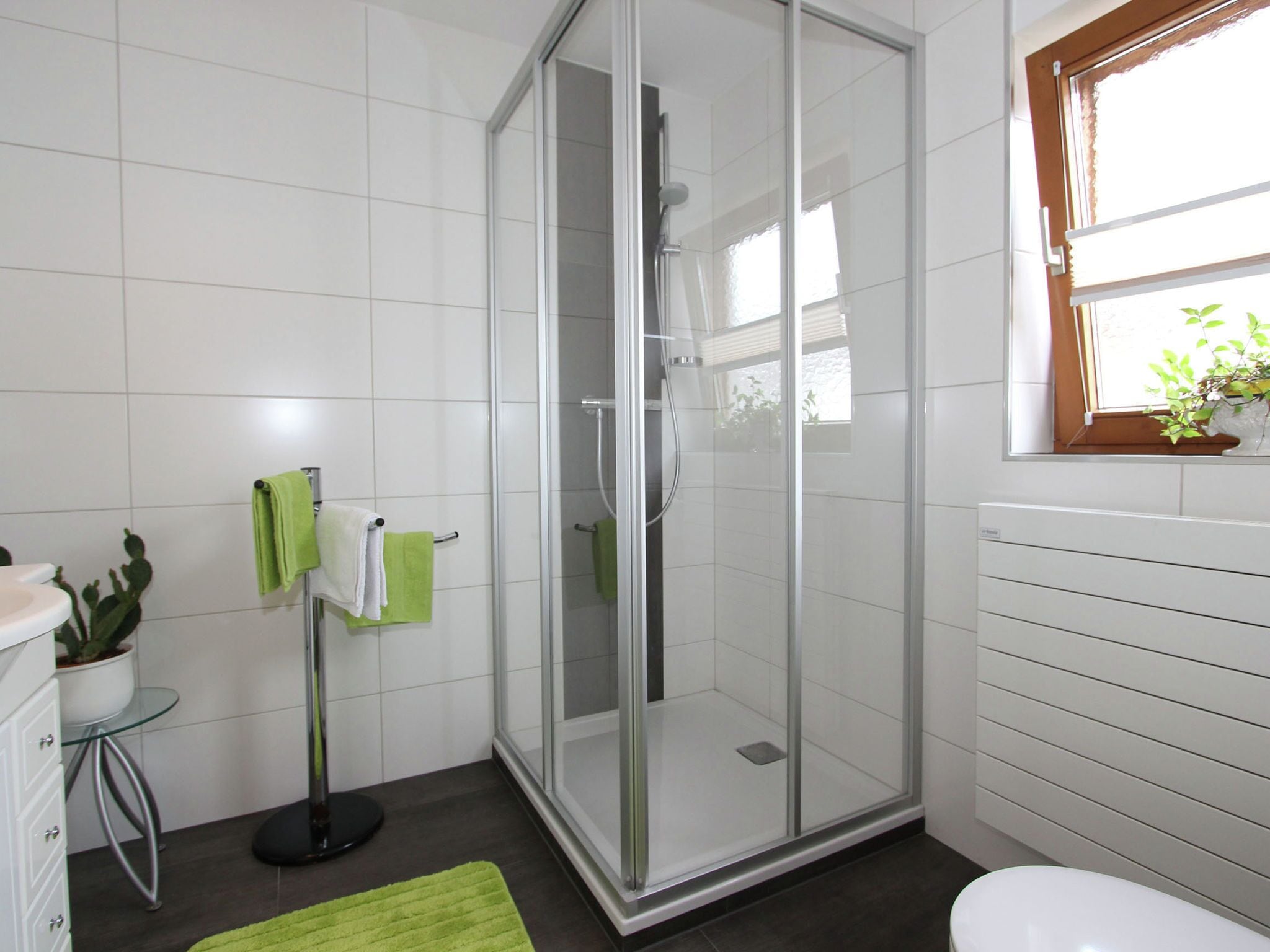 Apartment | Badezimmer | Duschwanne, Handtücher