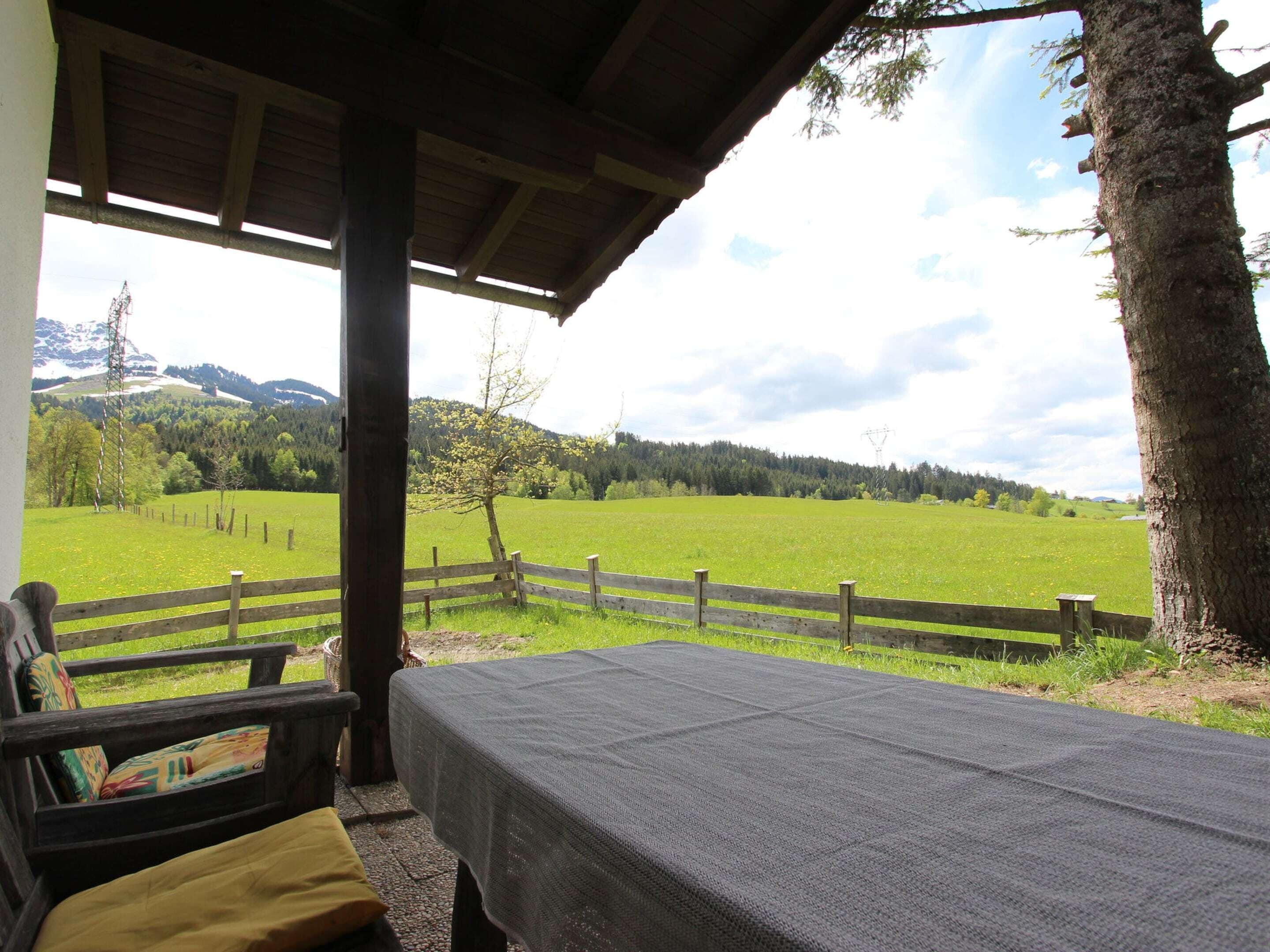 Ferienhaus | Speisen