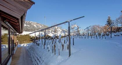 Elegant Apartment in Sankt Johann in Tyrol near Ski Slopes