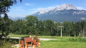 Une table de pique-nique et des bancs dans un espace verdoyant, avec vue sur la montagne.