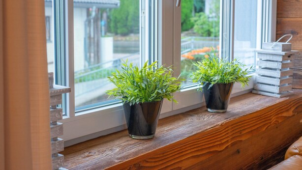 Two potted plants on a wooden ledge by a window with a view of a garden and buildings. - Apartment in Brixen Near Skiwelt Lift (Brixen im Thale)